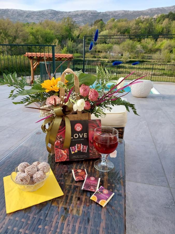 Villa Zrinka **** Svinisce 외부 사진